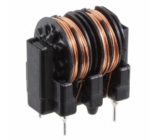 SS11V-R10093-CH image