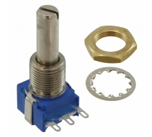 53RAA-R25-A13L image